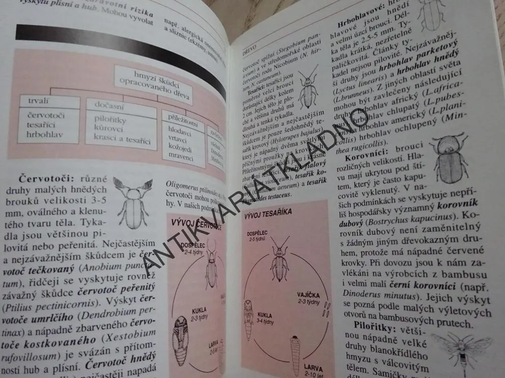 MOLI, ČERVOTOČI A JINÍ ŠKŮDCI MATERIÁLŮ V DOMÁCNOSTECH, SKLADECH A CHALUPÁCH, VÁCLAV STEJSKAL, **an