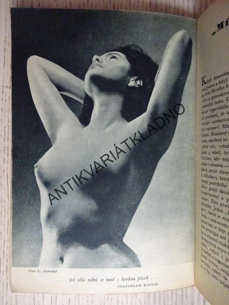 ČASOPIS PRAMEN, ČÍSLO 46