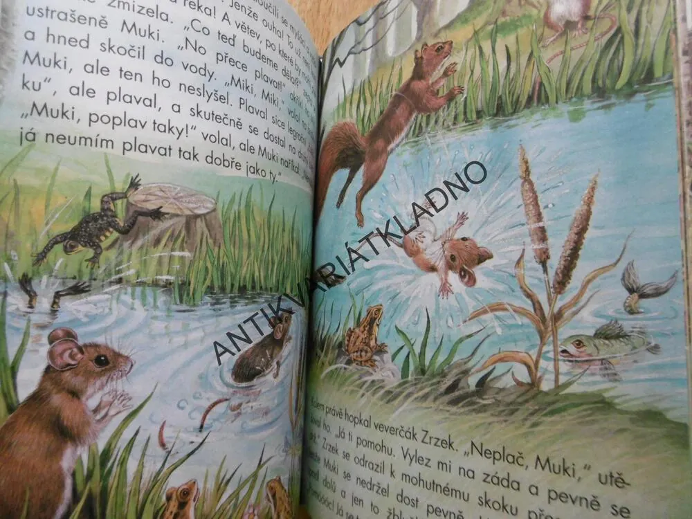 SVĚT ZVÍŘÁTEK, KOČKA, PES, SLEPICE, ZAJÍCI AJ., **an