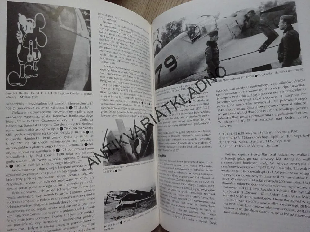 ASY LUFTWAFFE, POLSKY