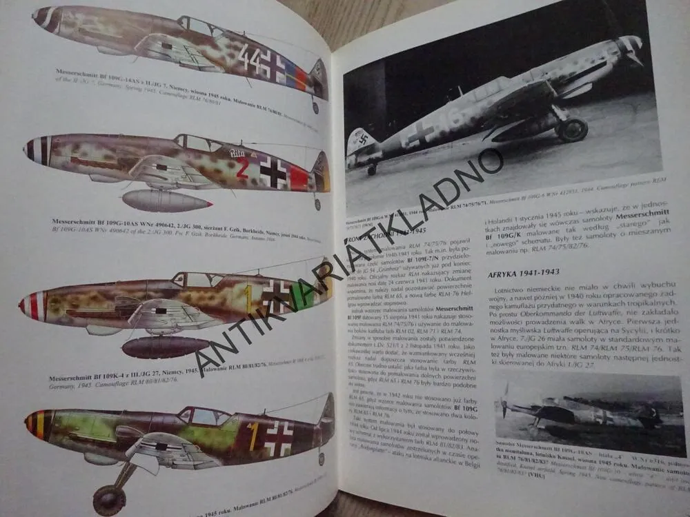MESSERSCHMITT BF 109 COLOR, POLSKY