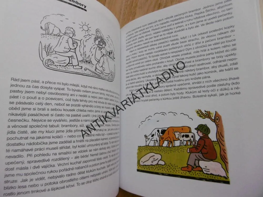 ČESKÝ ROK JOSEFA LADY, 