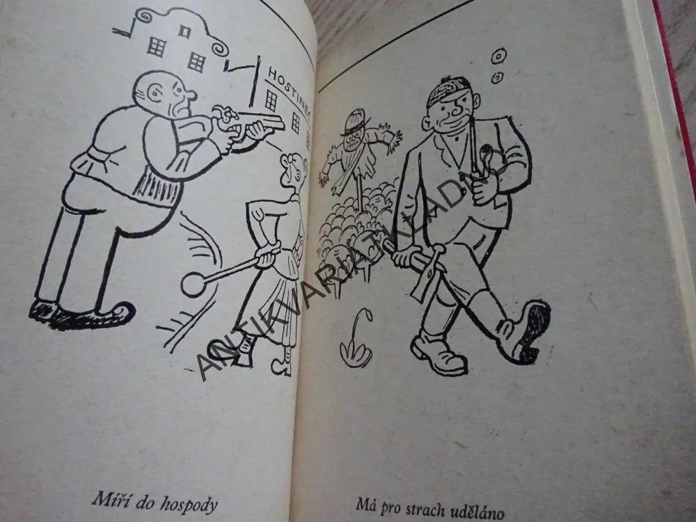 ILUSTROVANÁ FRAZEOLOGIE, JOSEF LADA, **an
