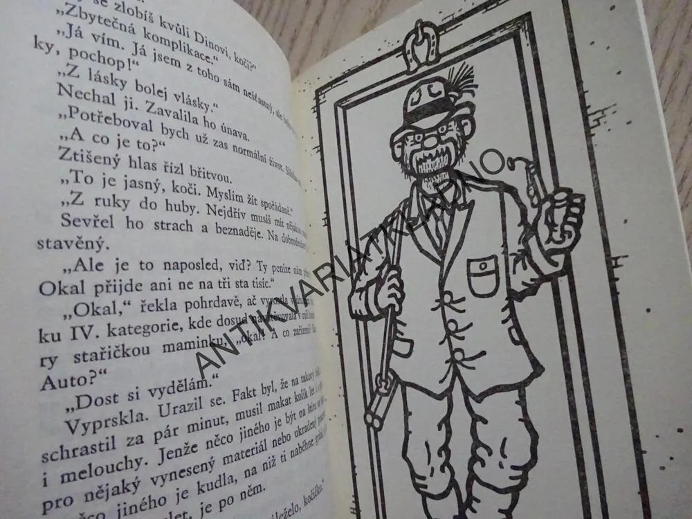 PŘEŽIJÍ MUŽI ROK DVA TISÍCE?, JAROMÍRA KOLÁROVÁ, **an