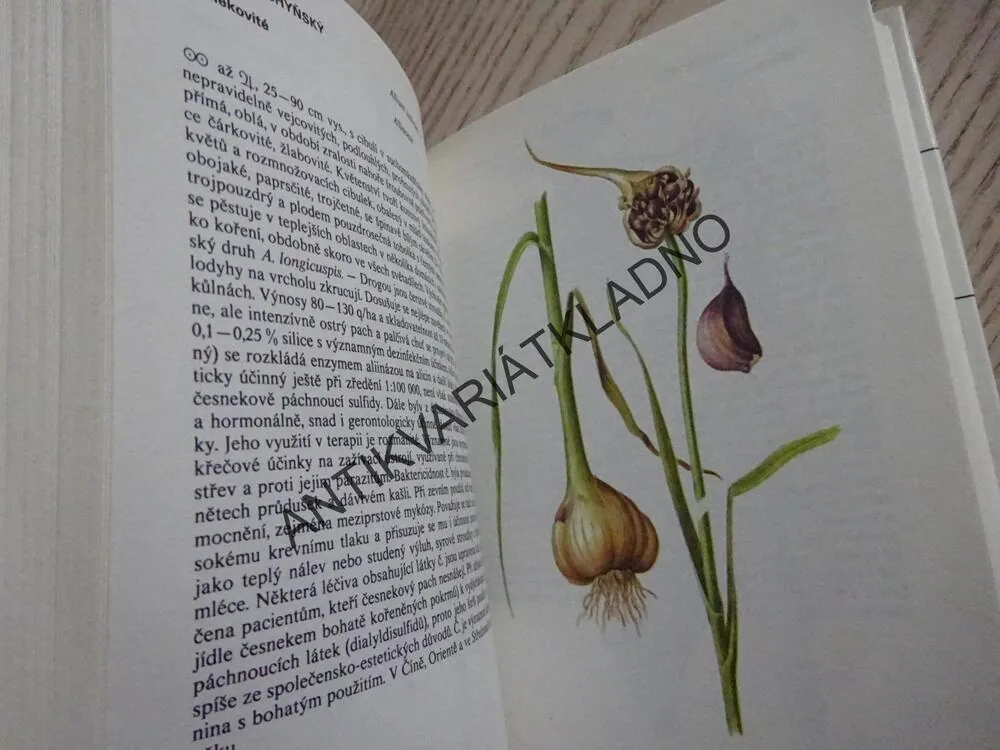 KAPESNÍ ATLAS LÉČIVÝCH ROSTLIN, VÁCLAV JIRÁSEK, FRANTIŠEK STARÝ, FRANTIŠEK SEVERA, **an