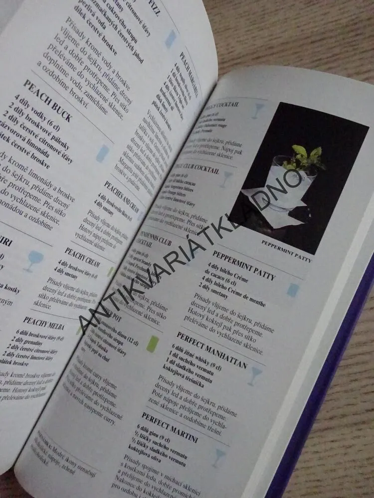 RECEPTÁŘ MISTRA BARMANA, **an