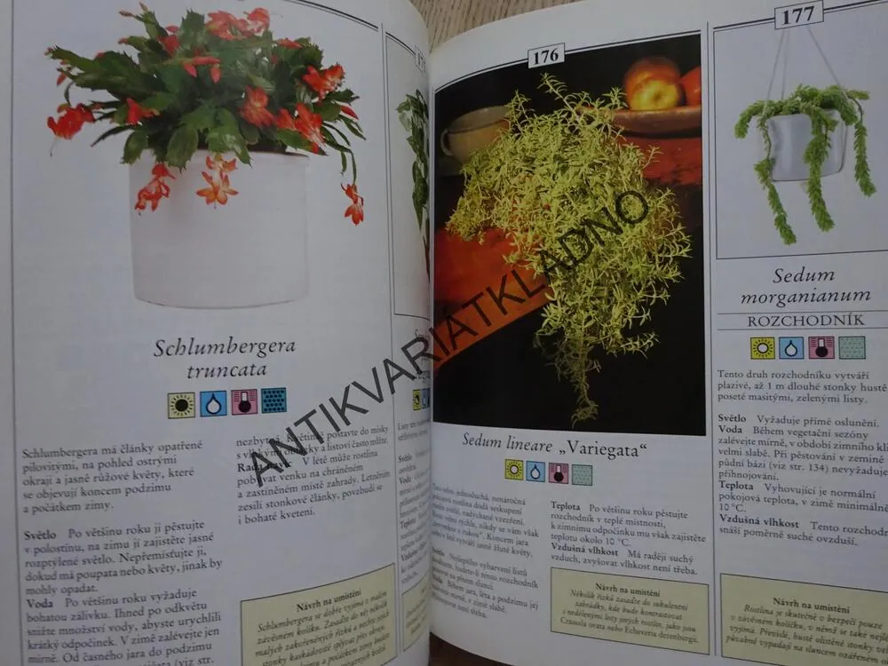 200 POKOJOVÝCH ROSTLIN PRO KAŽDÉHO, RICHARD GILBERT, **an