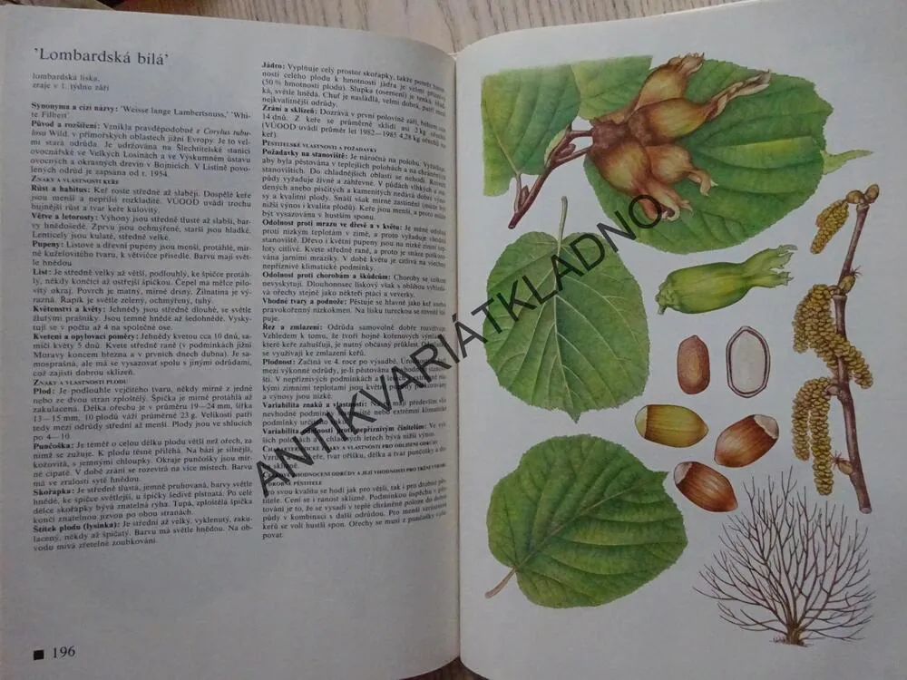 POMOLOGICKÝ ATLAS 1, JOSEF KUTINA A KOLEKTIV, **an