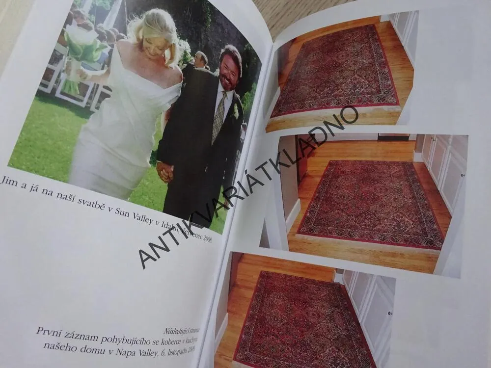 RUKA NA ZRCADLE, JANIS HEAPHYOVÁ DURHAMOVÁ, **an