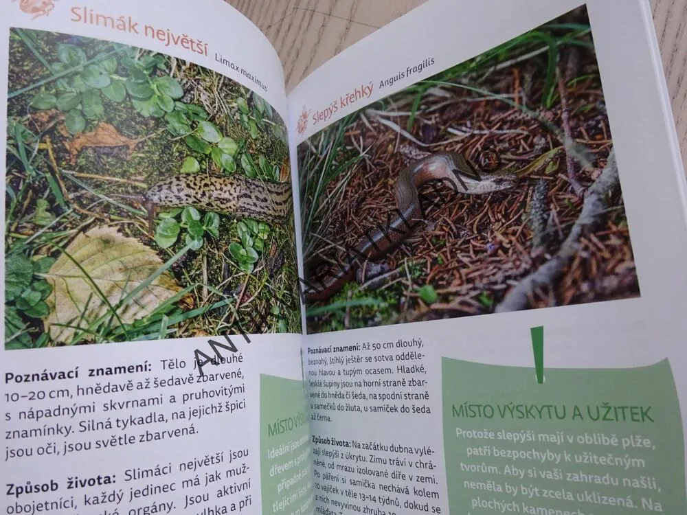ZAHRADA PLNÁ ŽIVOTA, URSULA KOPP, **an