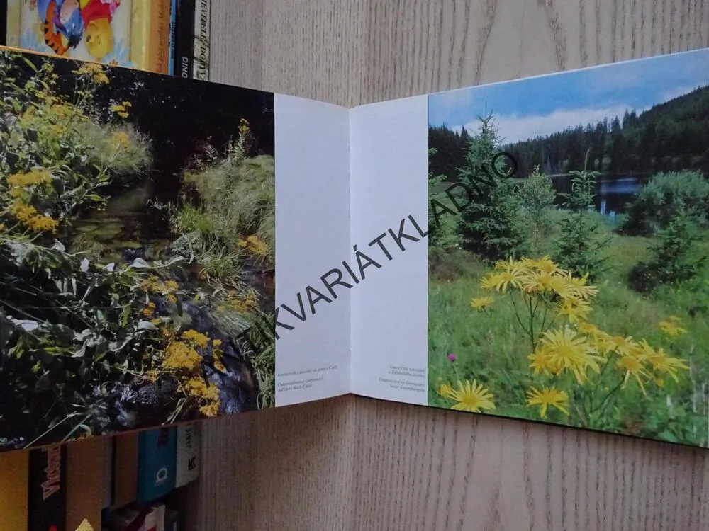 ŠUMAVA, ROZKVETLÁ, JAN KAVALE, **an