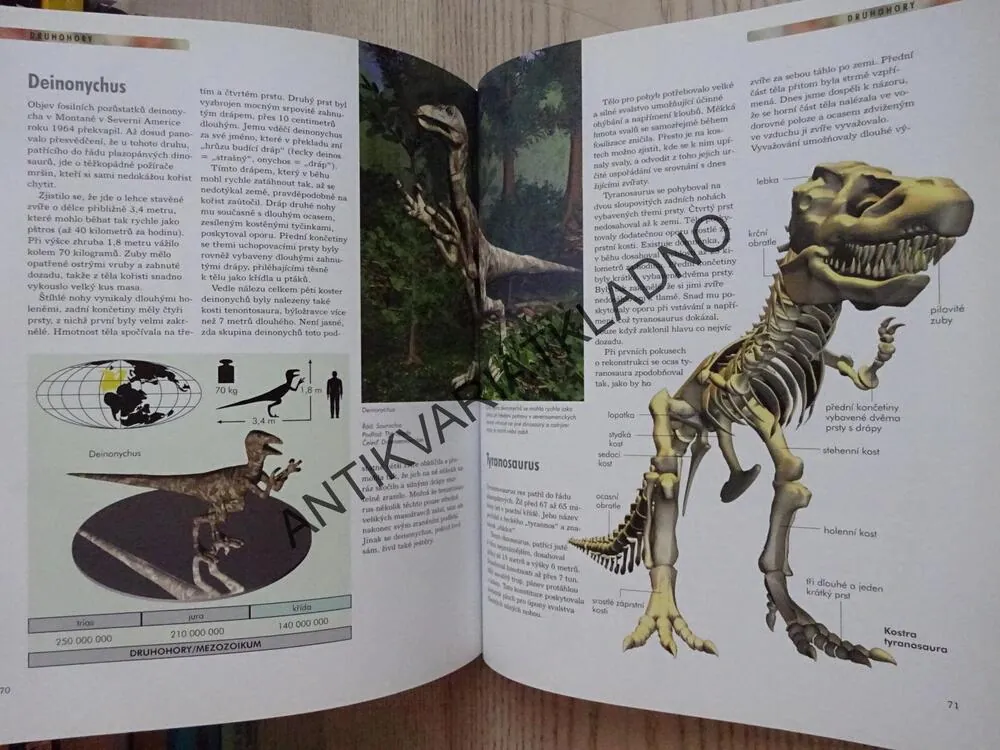 DINOSAUŘI, VĚDOMOSTI V KOSTCE, **an
