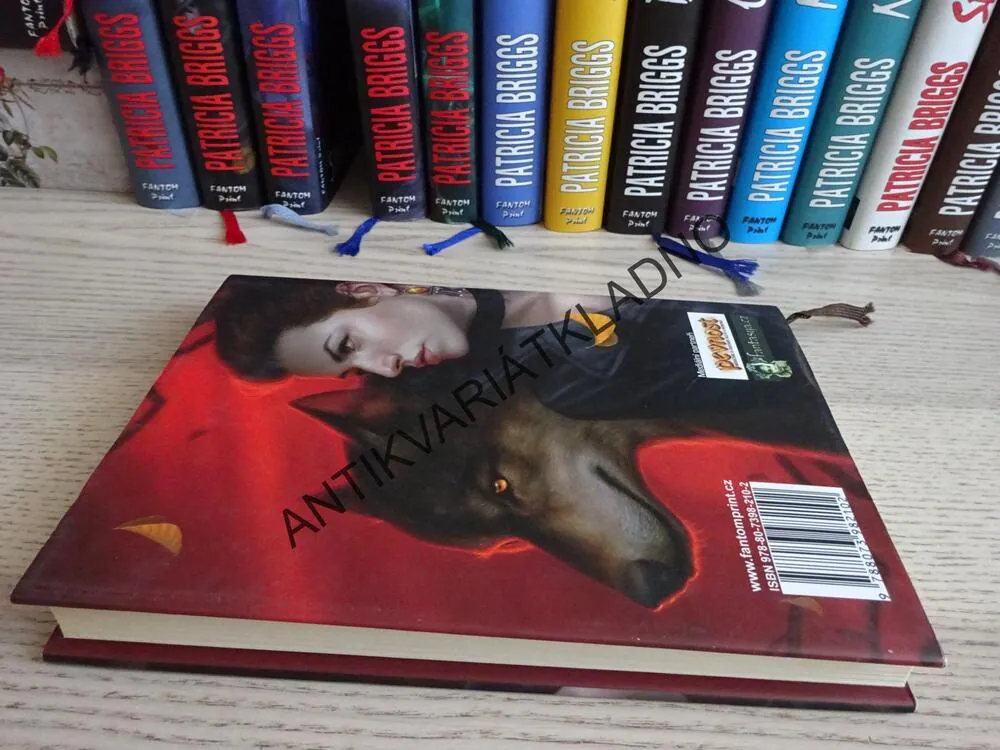 DVOJÍ SPRAVEDLNOST, PATRICIA BRIGGS, **an
