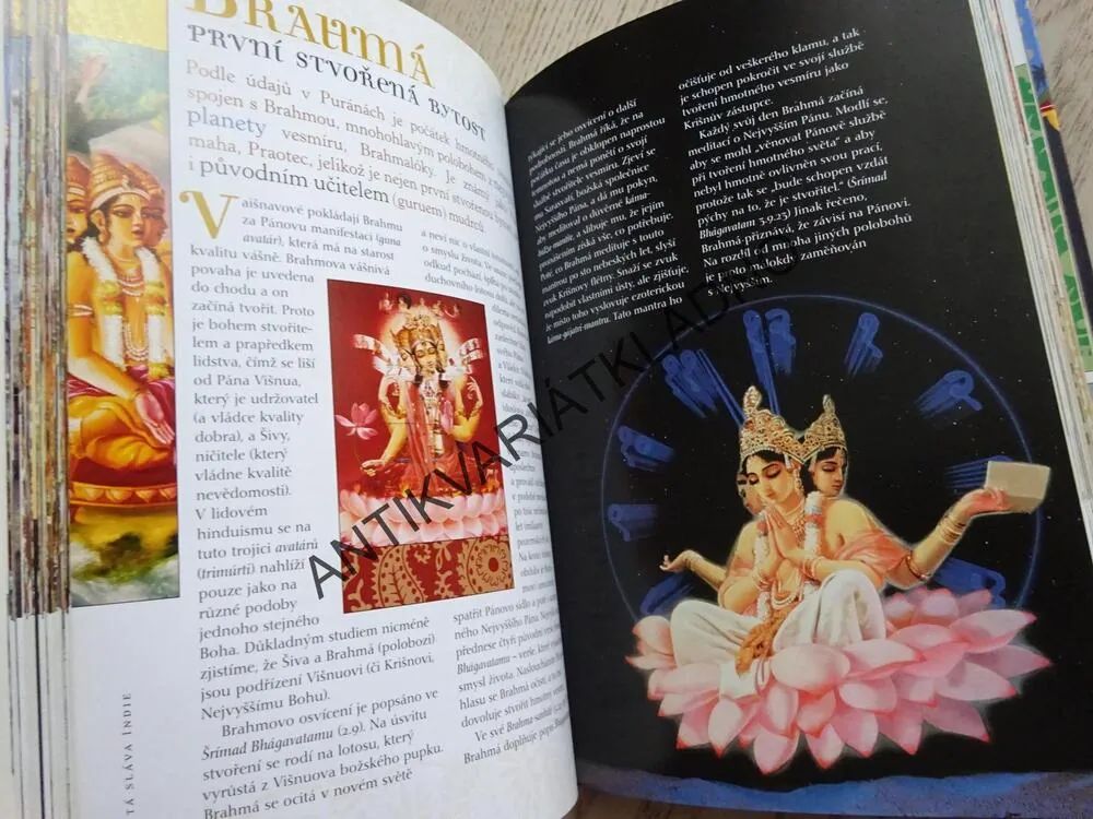 SKRYTÁ SLÁVA INDIE, STEVEN J. ROSEN, **an