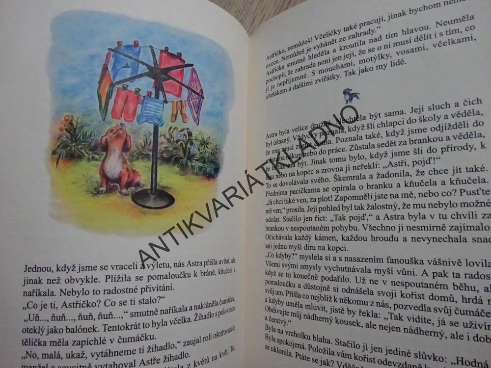 ASTŘIČKA, VĚRA ODBRŽÁLKOVÁ, **an