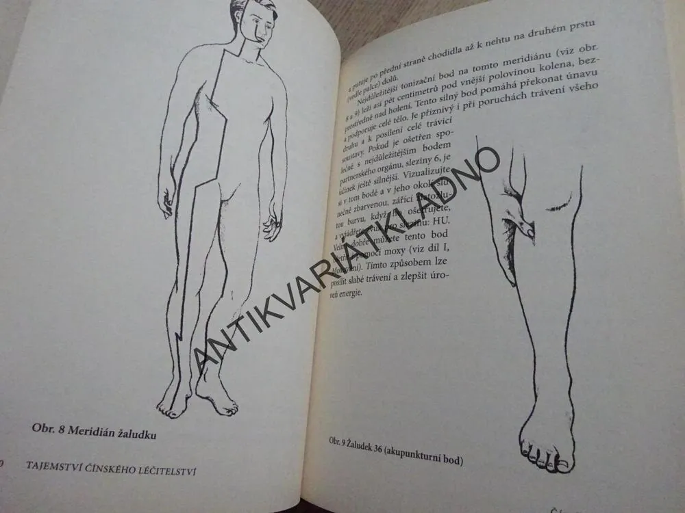 TAJEMSTVÍ ČÍNSKÉHO LÉČITELSTVÍ, JENNIFER HARPER, **an