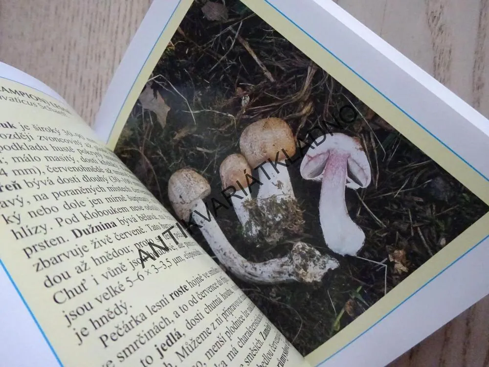 KAPESNÍ ATLAS HUB, MIROSLAV SMOTLACHA, **an