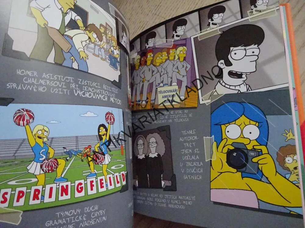 MARGINA KNIHA, SIMPSONOVA KNIHOVNA MOUDROSTI, SIMPSONOVI, **an