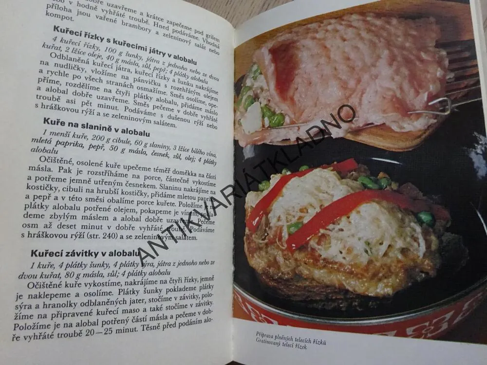 PRO PESTRÝ STŮL, LIBUŠE VLACHOVÁ, **an