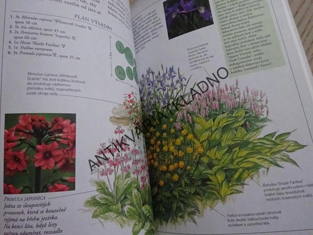 MRAZUVZDORNÉ TRVALKY, PRAKTICKÝ RÁDCE, **an