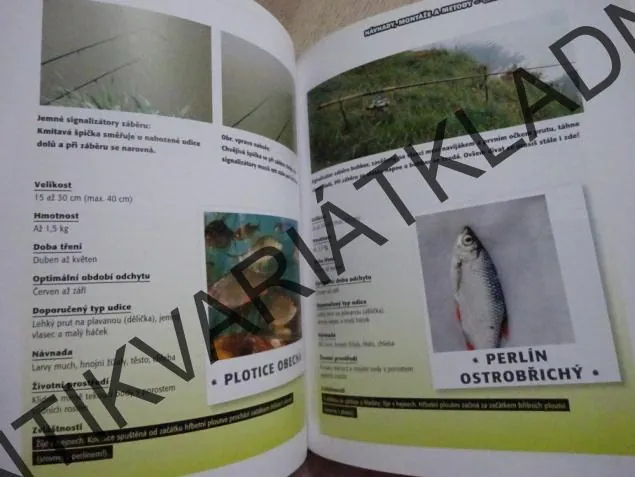 JAK CHYTIT VELKOU RYBU, HANS EIBER, **an