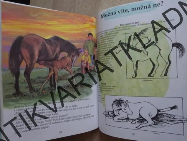 V ŘÍŠI KONÍ, KARINE LEFRANC, FRANCOISE LE GLOAHEC, PIERRE COURONNE, **an