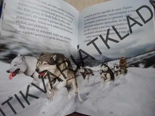 BÍLÝ TESÁK, JACK LONDON, **an