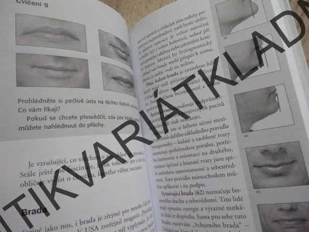 TAJEMSTVÍ TVÁŘE, TATJANA STROBELOVÁ, **an