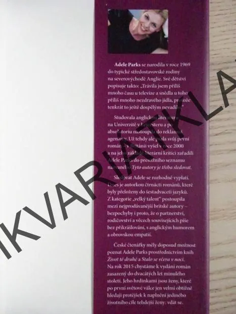 TADY A TEĎ, ADELE PARKS, **an