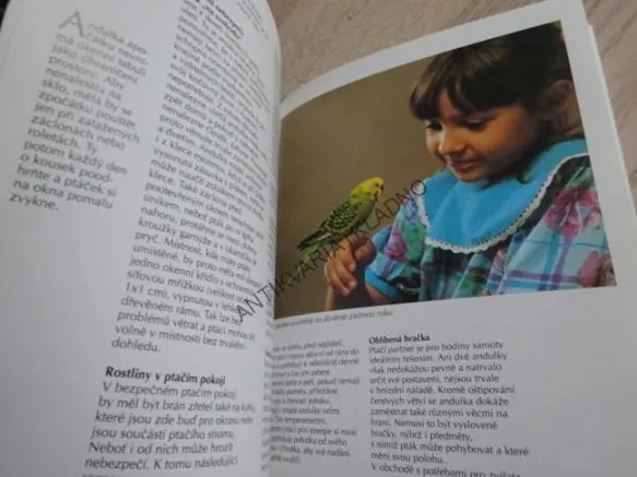 ANDULKA, PAPOUŠEK VLNKOVANÝ, ANNETTE WOLTEROVÁ, **an