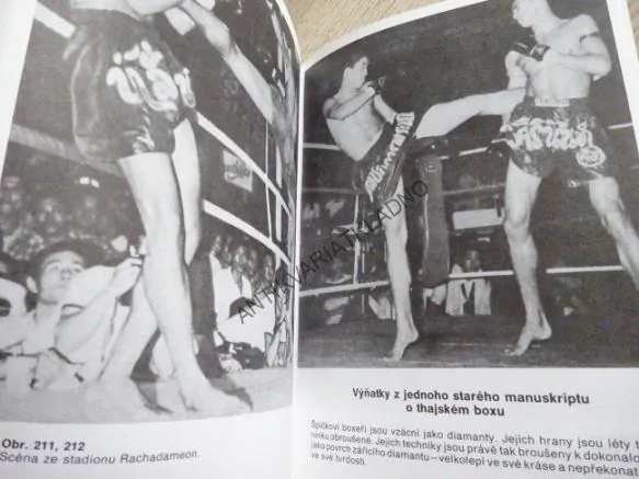 THAJSKÝ BOX, ZORAN REBAC, **an