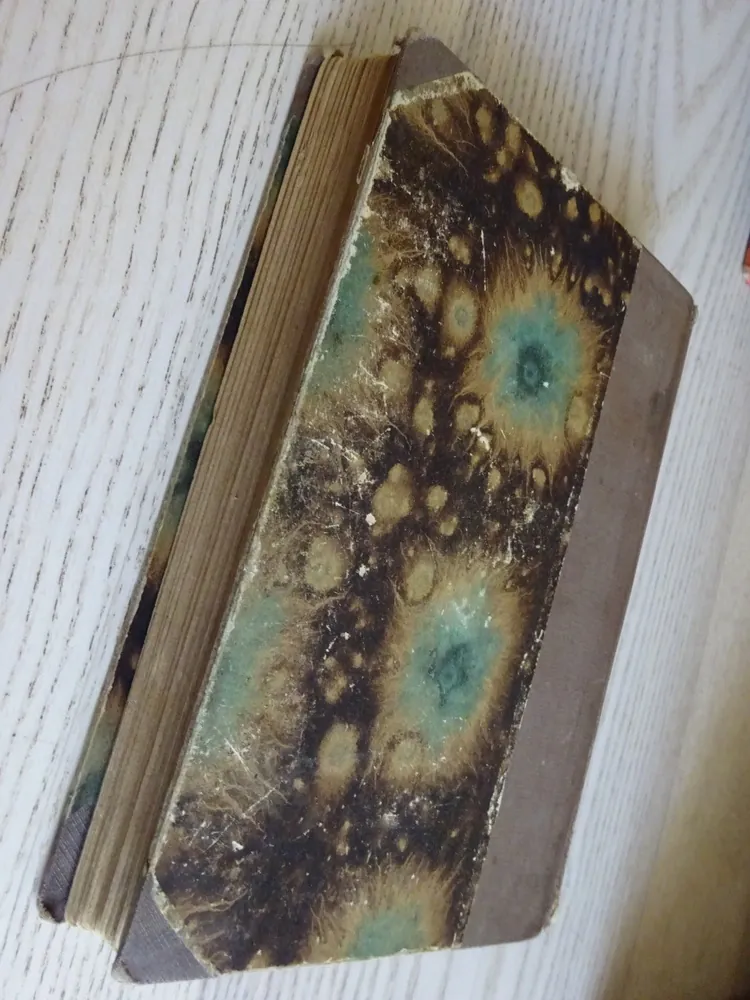 KŘÍŽ ODPLATY, J. M. WALSH, **an