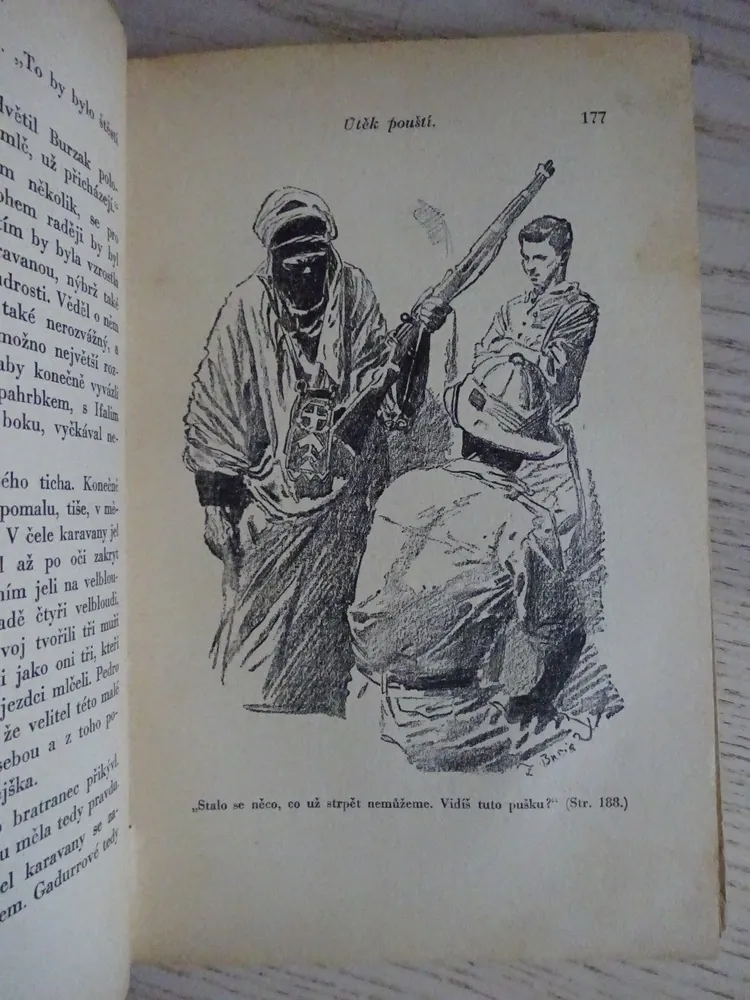 ZTRACENÁ KARAVANA, WALDO FLEMING, **an