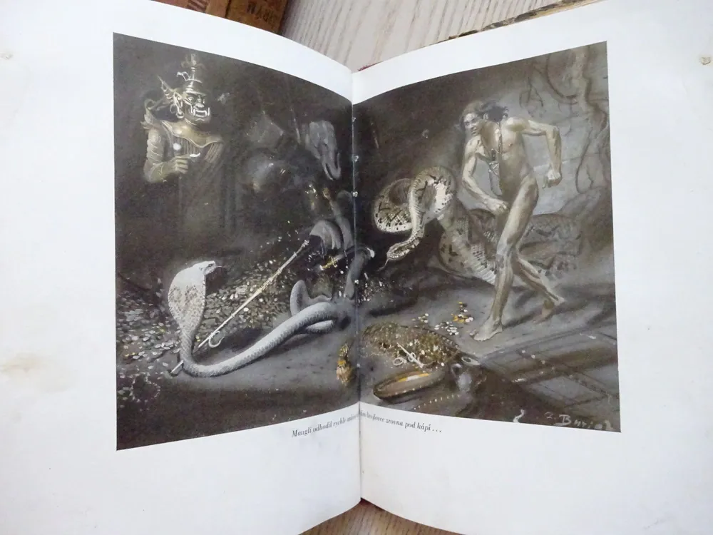 MAUGLÍ, RUDYARD KIPLING, **an