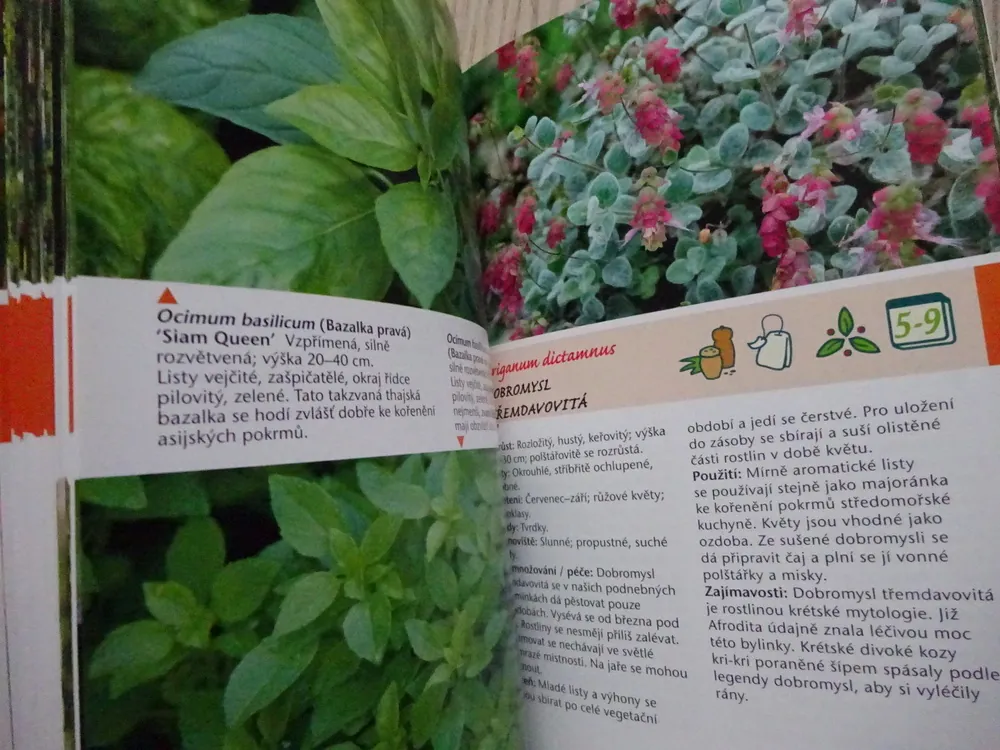 BYLINKY DO KUCHYNĚ, BABIČČIN RECEPTÁŘ, **an