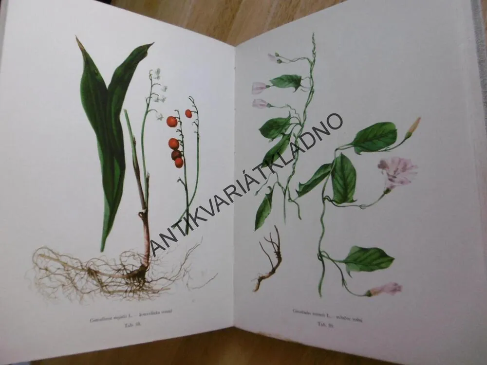 NAŠE JEDOVATÉ ROSTLINY, JIRÁSEK, ZADINA, BLAŽEK 