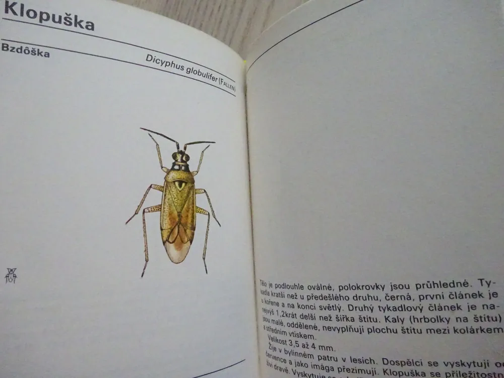 KAPESNÍ ATLAS PLOŠTIC A KŘÍSŮ, VLADIMÍR JAVOREK, **an
