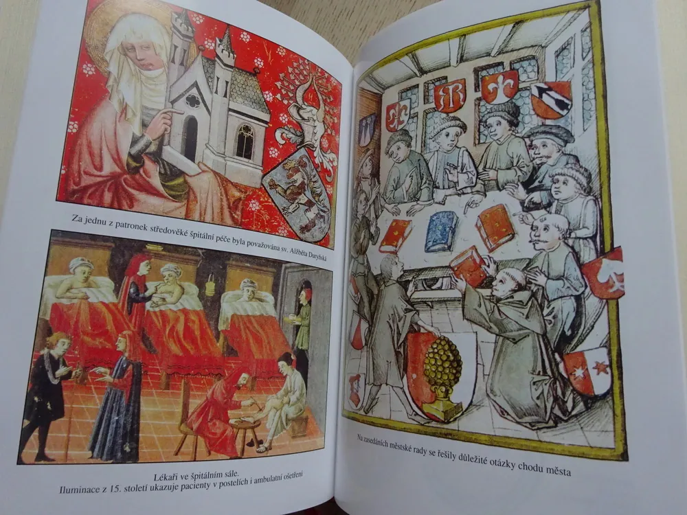 NA HRADECH, V KLÁŠTERECH, V PODHRADÍ, DIETER BREUERS, **an