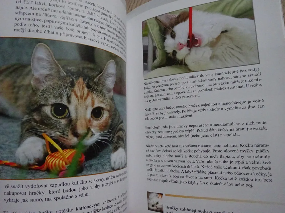 OD KOTĚTE KE KOČCE, HANA ŽERTOVÁ, **an