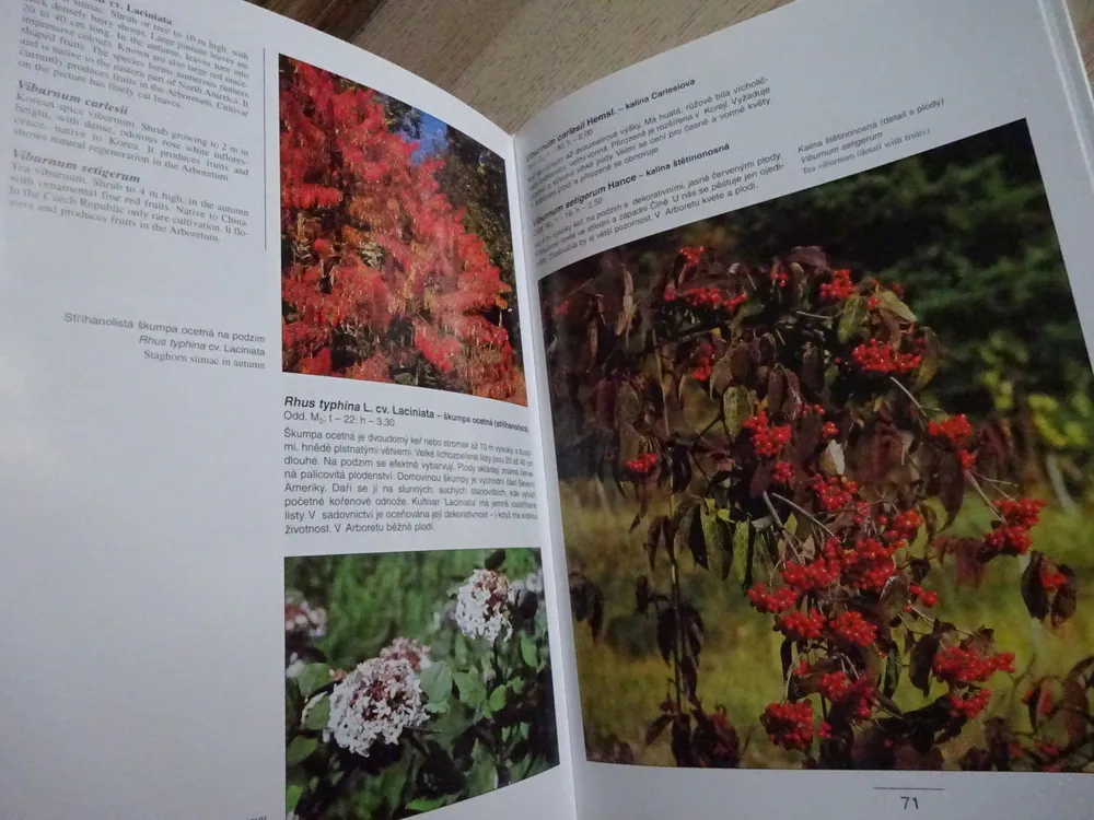 ARBORETUM LESNICKÉ FAKULTY ČZU V PRAZE, KOSTELEC NAD ČERNÝMI LESY, **an