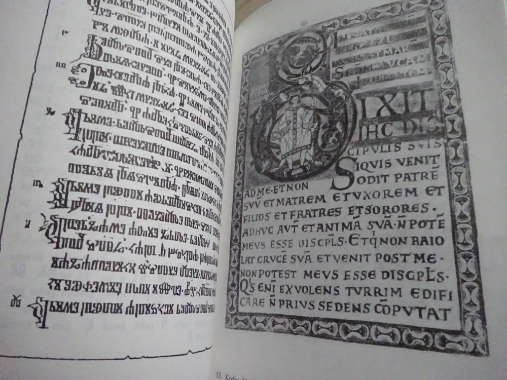 VÝVOJ PÍSMA V KOSTCE, FRANTIŠEK ČAPKA, KVĚTOSLAVA SANTLEROVÁ, **an