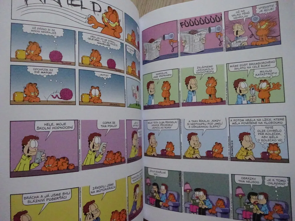 GARFIELD CHODÍ SPÁT SE SLEPICEMI, JIM DAVIS, **an