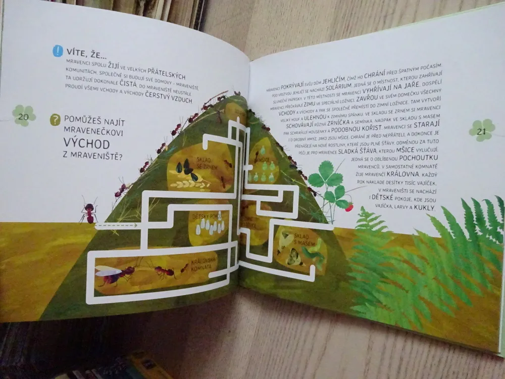 MEDVÍDEK V LESE, VYDEJ SE S NÍM ZA POZNÁNÍM, NATALJA ČUB, **an