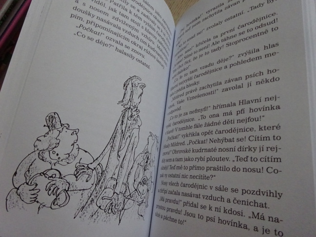 ČARODĚJNICE, ROALD DAHL, **an