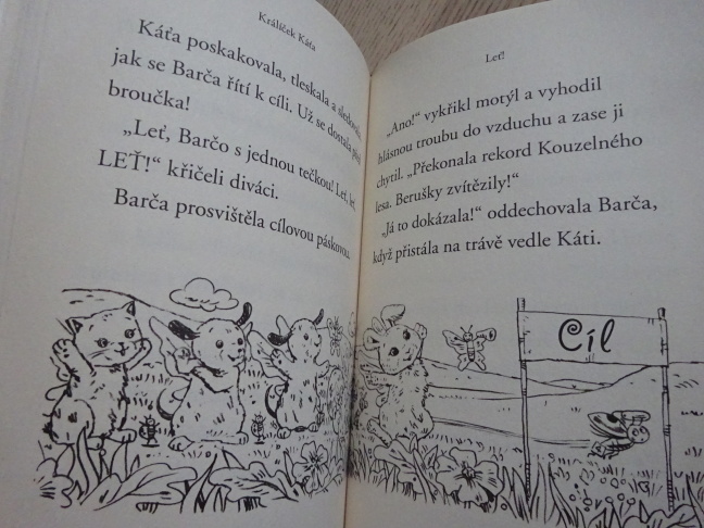 KRÁLÍČEK KÁŤA, ZVÍŘÁTKA Z KOUZELNÉHO LESA, LILY SMALL, **an
