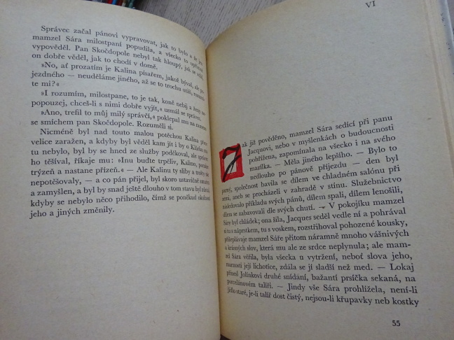 V ZÁMKU A PODZÁMČÍ, CHYŽE POD HORAMI, BOŽENA NĚMCOVÁ, **an