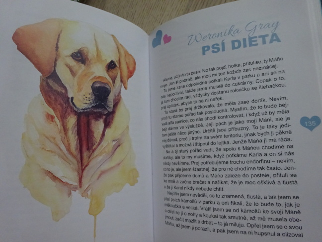 SE PSEM MĚ BAVÍ SVĚT, POVÍDÁNÍ ZNÁMÝCH LIDÍ O (ZATÍM) NEZNÁMÝCH PSECH, **an