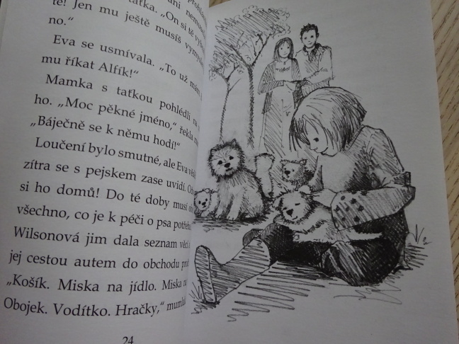 JAK ALFÍK ZŮSTAL SÁM, HOLLY WEBB, **an