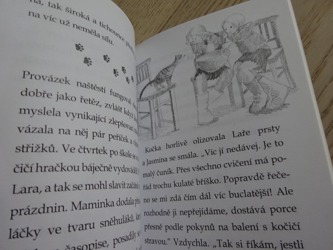KAM SE VYDALA HVĚZDIČKA?, HOLLY WEBB, **an