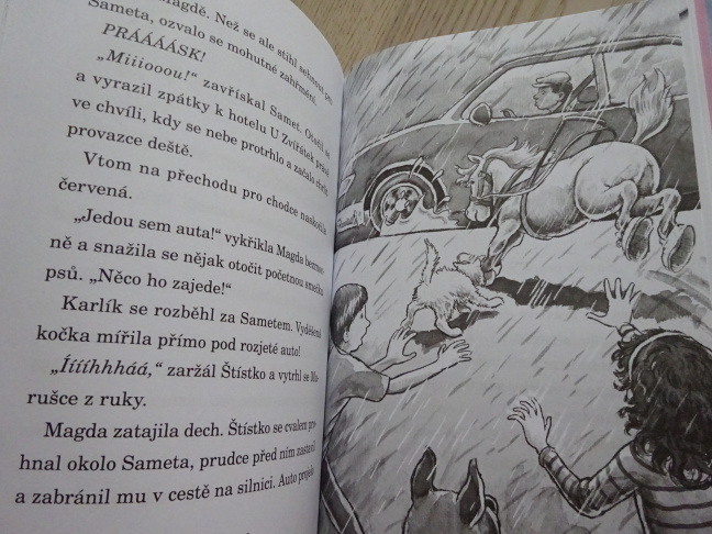 HOTEL U ZVÍŘÁTEK, VZHŮRU NA VÝSTAVU, KATE FINCHOVÁ, **an